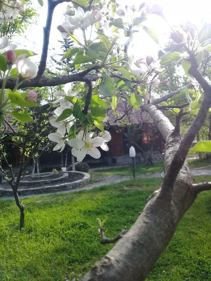 Kish Adasi Şǝki Eksteriør bilde